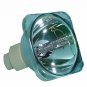 Viewsonic RLC-037 Osram Projector Bare Lamp
