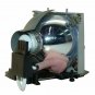 NOBO SP.82F01.001 Compatible Projector Lamp Module