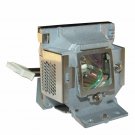 Viewsonic RLC-056 Compatible Projector Lamp With Housing