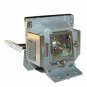 Viewsonic RLC-056 Compatible Projector Lamp With Housing