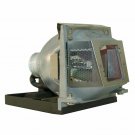 Dynamic Lamps Projector Lamp With Housing for Infocus SP-LAMP-034
