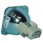BenQ 5J.07E01.001 Osram Projector Bare Lamp