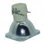 BenQ 5J.06001.001 Philips Projector Bare Lamp