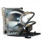 BenQ 5J.J2D05.001 Compatible Projector Lamp With Housing