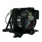 ProjectionDesign 400-0401-00 Compatible Projector Lamp With Housing