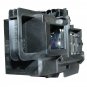 Dynamic Lamps Projector Lamp With Housing for Epson ELPLP59