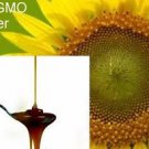Raw PURE liquid Sunflower Lecithin Muscles nerves NO chemical pesticide NON GMO