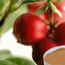 Camu Camu ORGANIC RAW powder 140 Grams Detox  healthy skin heart eyes Lots