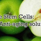 14 ml 100% PURE PhytoCellTec APPLE STEM CELL repair wrinkle Makes to 15,000 ml