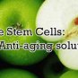 14 ml 100% PURE PhytoCellTec APPLE STEM CELL repair wrinkle Makes to 15,000 ml