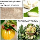 100% Garcinia Cambogia extract 3000mg ORGANIC RAW SUCCESS weight loss health