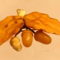 Natural Baltic Amber ,,,,,old brooch renewed