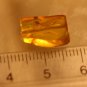 Natural Baltic Amber insects, FOSSILS. ,,;