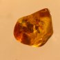 Natural Baltic Amber insects , FOSSIL spider