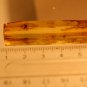 Natural Baltic Amber insects , FOSSIL