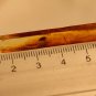 Natural Baltic Amber insects, FOSSILS. f