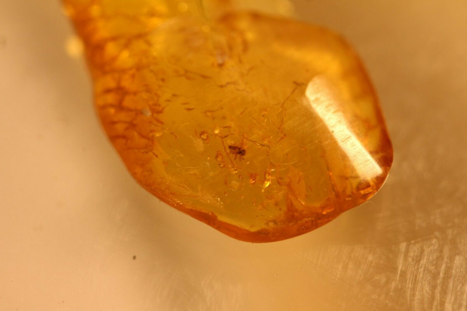 Natural Baltic Amber insects, FOSSILS. ,,