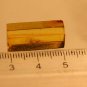 Natural Baltic Amber insects,FOSSIL mosq,