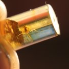 Natural Baltic Amber insects, FOSSILS. ,,,,,spider