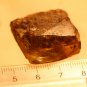 Natural Baltic Amber insects , FOSSIL ,,,,,