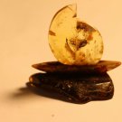 Natural Baltic amber  , . souvenir ship