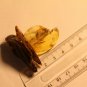 Natural Baltic amber  , . souvenir ship