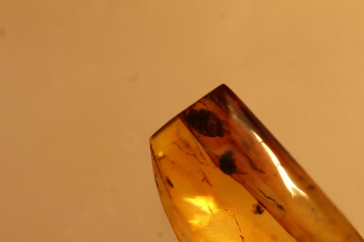Natural Baltic Amber insects, FOSSILS   ,2 beetles