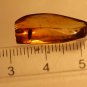 Natural Baltic Amber insects, FOSSILS ,2 beetles