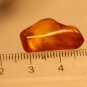 Natural Baltic Amber insects , FOSSIL  bee (injured)
