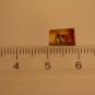 Natural Baltic Amber insects, FOSSILS. mosq..