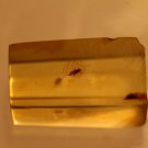 Natural Baltic Amber insects , FOSSIL,...,