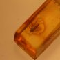 Natural Baltic Amber insects , FOSSIL,.fly,
