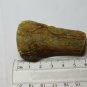 Natural Baltic Amber stone of Baltic  21. g.