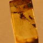 Natural Baltic Amber insects, FOSSILS. ,, lot fly