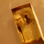 Natural Baltic Amber insects , FOSSIL,.mosqu.