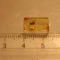 Natural Baltic Amber insects , FOSSIL,.mosqu.