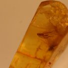 Natural Baltic Amber insects , FOSSIL fly.2