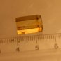 Natural Baltic Amber insects , FOSSIL,...