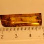 Natural Baltic Amber insects , FOSSIL  fl...