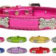 Faux Leather Collars & Leashes