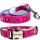 Nylon Dog Collars & Leashes