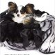 Designer Dog Beds