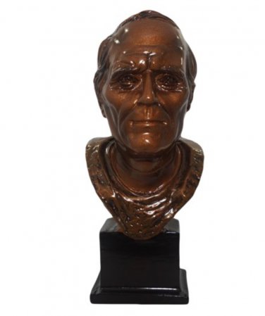 Terry Bradshaw Pittsburgh Steelers Pro Football HOF 4 3/4" Mini Bust w/Box