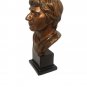 JOE NAMATH New York JETS HALL OF FAME HOF BRONZE MINI BUST ~ LIMITED EDITION