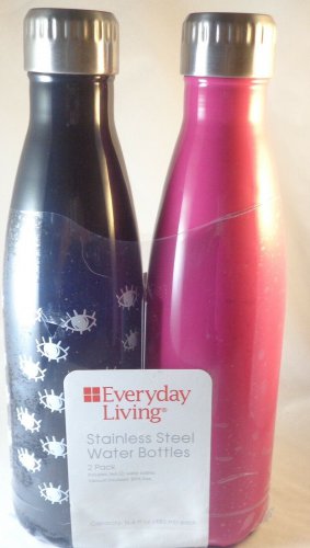 Everyday Living Stainless Steel Water Bottles 2pack 16.4 Fl Oz Each