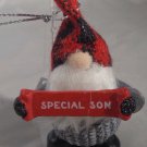 NEW for 2020, Charming Mini Gnome Ornament, Special Son from Ganz