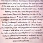 DREAMING CITY~MICHAEL MOORCOCK~ELRICK IS BACK~SCIFI~1ST