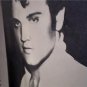 2 BOOKS~ELVIS~IF I CAN DREAM~SECRET DIARY~PRIVATE ELVIS
