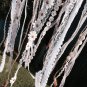 Pastel Pink Daydream Doily Dreamcatcher Mobile