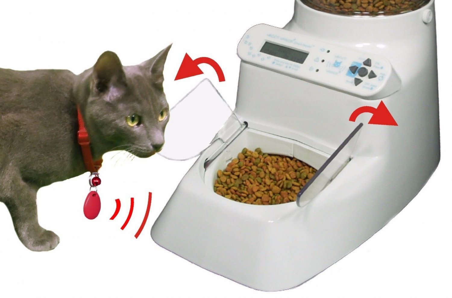 auto cat feeder amazon